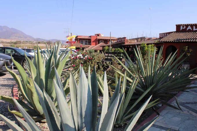 Oaxaca: Horseback Riding and Mezcal Tasting Tour - What to Bring