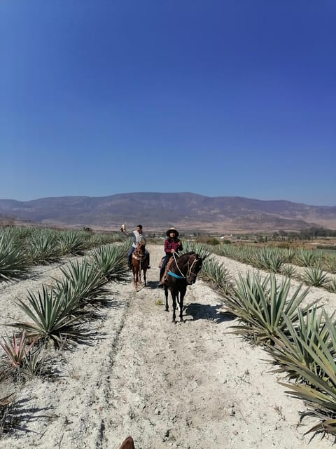 Oaxaca: Horseback Riding and Mezcal Tasting Tour - Additional Information