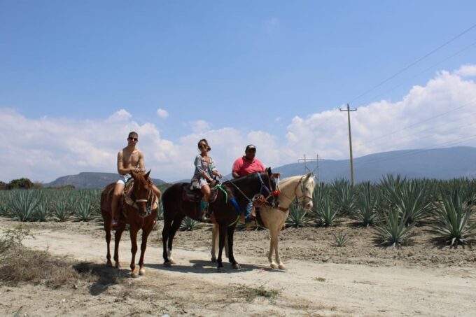 Oaxaca: Horseback Riding and Mezcal Tasting Tour - Frequently Asked Questions