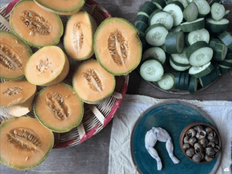 Oaxaca: Immersive Mezcal Workshop and Distillation - Meeting Point and Additional Notes