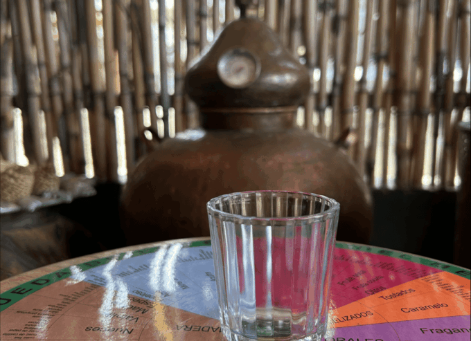 Oaxaca: Immersive Mezcal Workshop and Distillation - Distillation Session With Experts