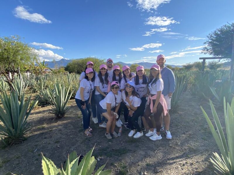 Oaxaca: Mezcal Adventure - Exploring Agave Plantations
