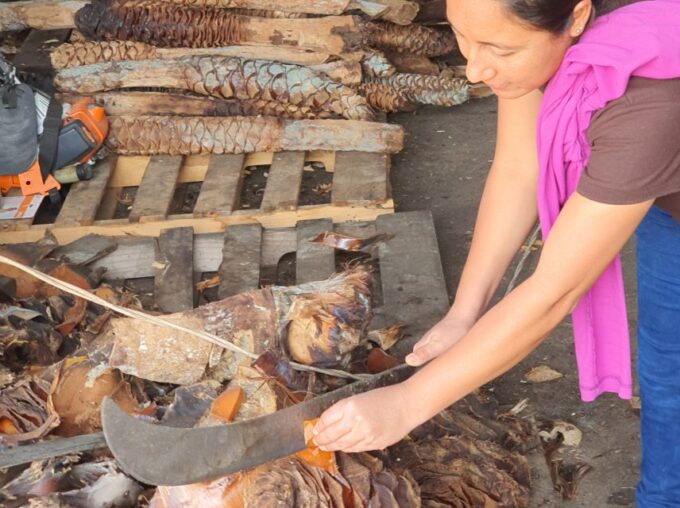 Oaxaca: Mezcal Adventure - Learning Mezcal Production