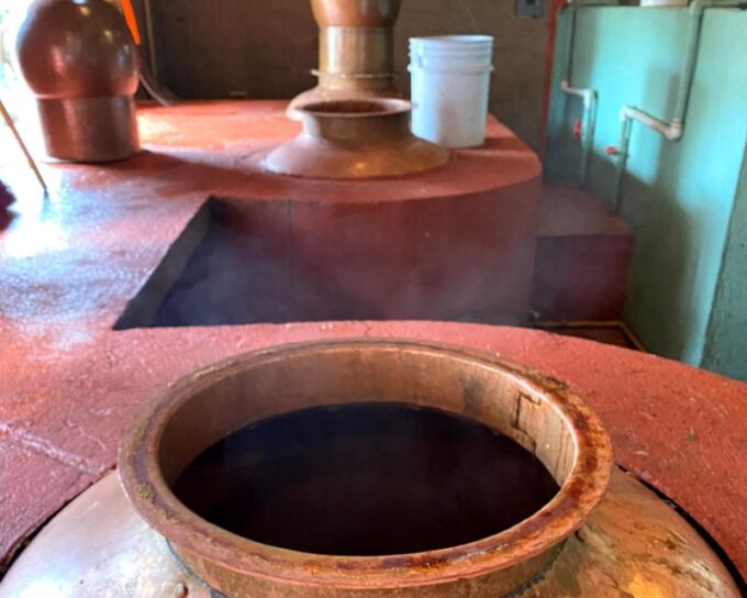 Oaxaca: Mezcal Adventure - Enjoying Local Cuisine