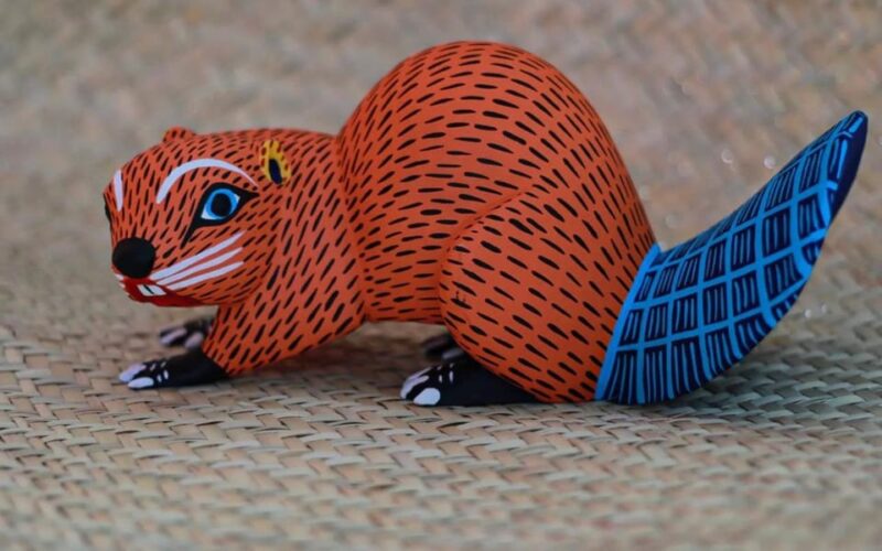 Oaxaca - Monte Alban, Alebrijes, Cuilapan & San Bartolo - Customer Experience