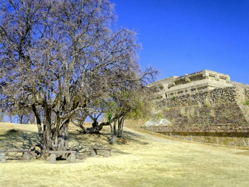Oaxaca: Monte Alban and Historic Villages Full-Day Tour - Key Points