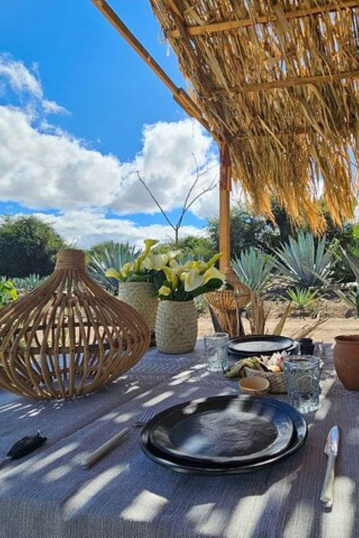 Oaxaca: Private Lunch in Maguey Fields With Mezcal Tasting - Key Points