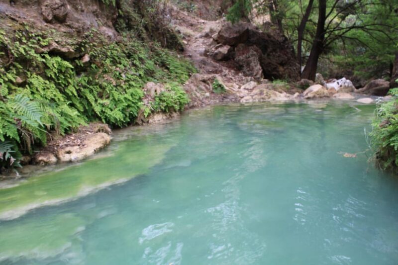 Oaxaca: Santiago Apoala Waterfall Day Trip With Transfers - Explore Local Market