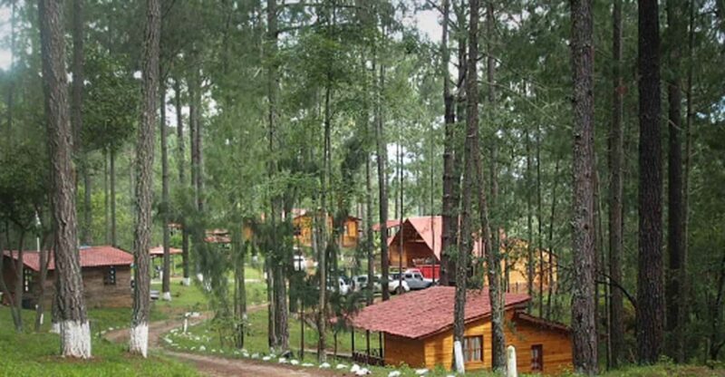 Oaxaca: Sierra Norte Tour With Zipline and Hanging Bridge - Itinerary Details