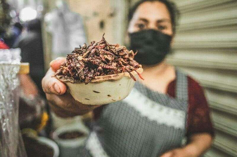 Oaxaca: Signature Markets Food Tour - Who Is This Tour Best For?