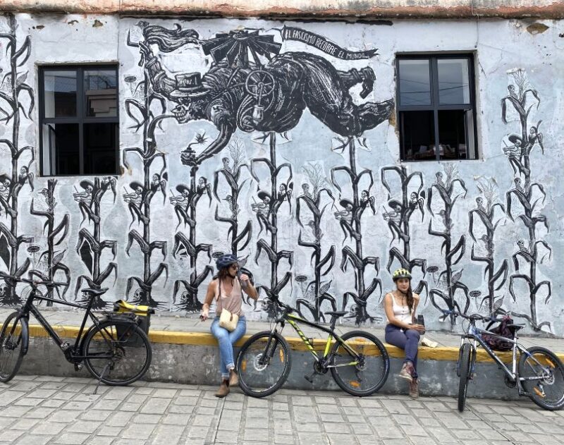 Oaxaca: Street Art Bike Tour - Customer Reviews