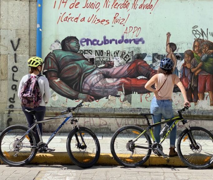Oaxaca: Street Art Bike Tour - Mural Insights