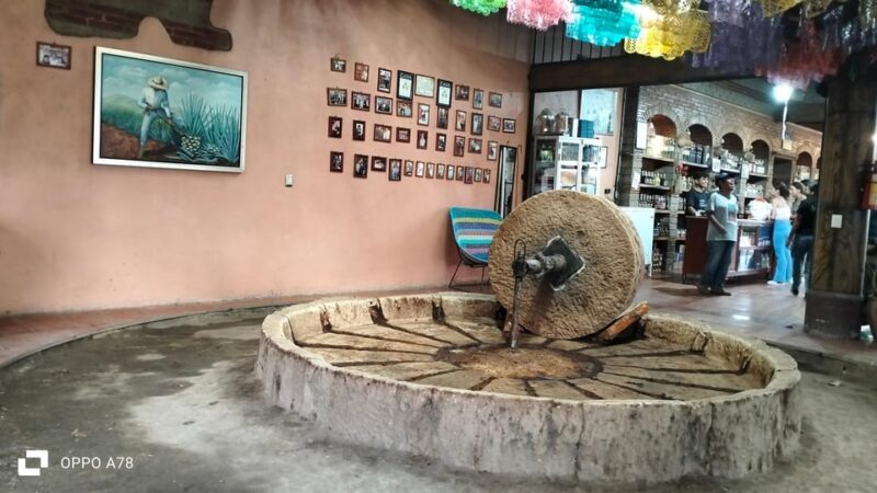 Oaxaca: the Snake - Hierve El Agua 1 Day Tour. - Important Information