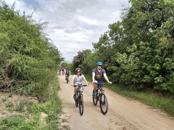Oaxaca: the Snake - Hierve El Agua 1 Day Tour. - Cultural Immersion