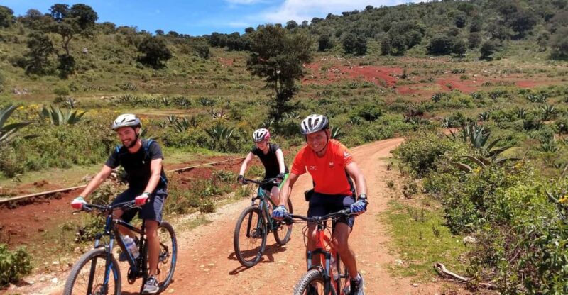 Oaxaca: the Snake - Las Salinas 1 Day Bike Tour - Tour Experience and Highlights