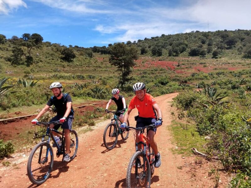 Oaxaca: the Snake - Las Salinas 1 Day Bike Tour - Inclusions