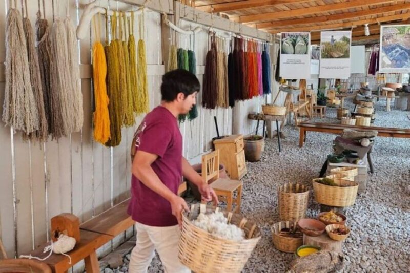 Oaxaca: Traditional Market Private Tour - Experience