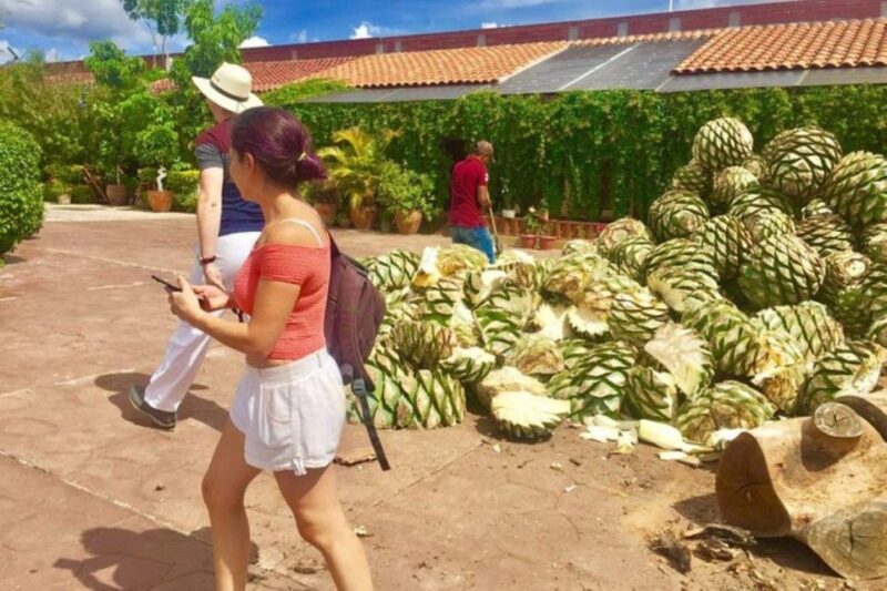 Oaxaca: Traditional Market Private Tour - Exploring Teotitlan Del Valle