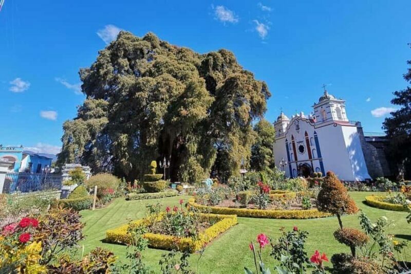 Oaxaca: Tule Tree, Teotitlán, Mitla and Hierve el Agua Tour - Detailed Breakdown of the Tour