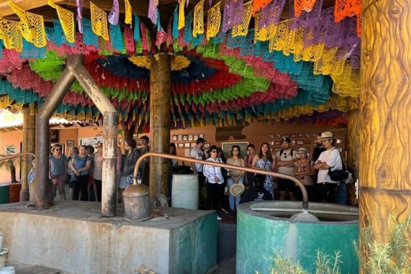 Oaxaca: Tule Tree, Teotitlán, Mitla, and Hierve El Agua Tour - Transportation and Inclusions