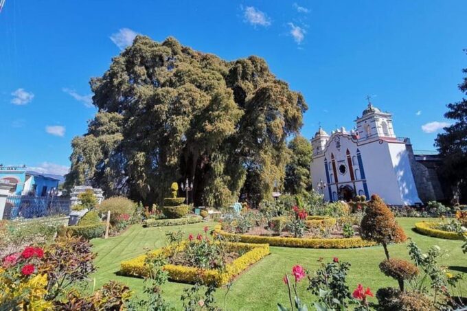 Oaxaca: Tule Tree, Teotitlán, Mitla, and Hierve El Agua Tour - Discovering Teotitlán Del Valle