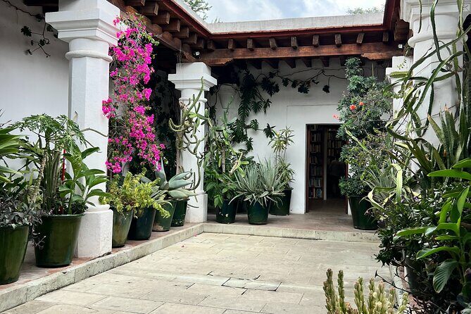 Oaxaca Walking Tour - The Itinerary in Detail
