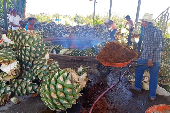 Oaxaca With Me Tours - Confirmation Details