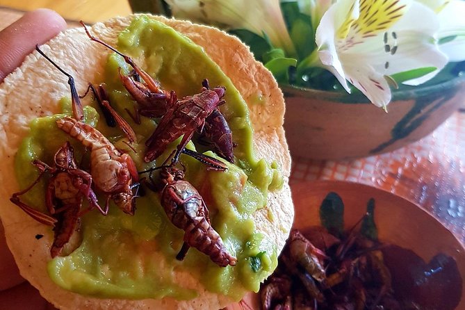 Oaxaca With Me Tours - Tour Reviews