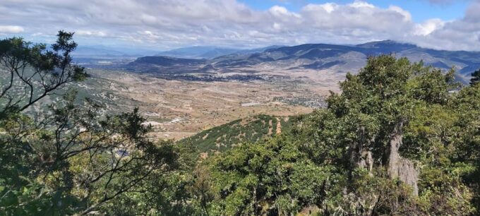 Oaxaca: Xaaga-Hierve El Agua 1 Day Hiking Tour - Tour Languages and Group Size