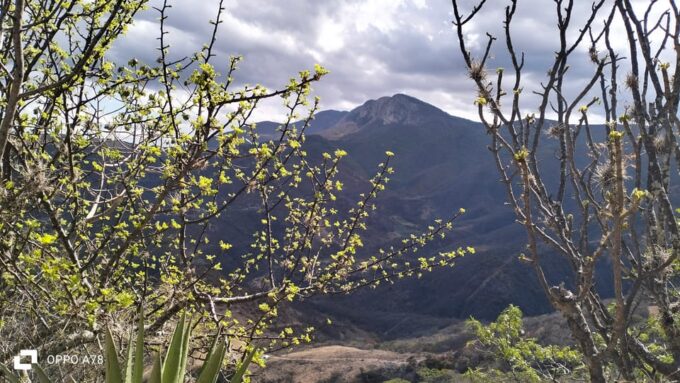 Oaxaca: Xaaga-Hierve El Agua 1 Day Hiking Tour - Frequently Asked Questions