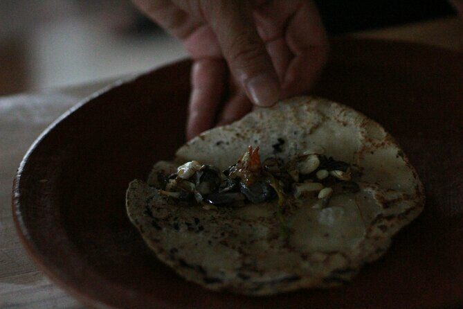 Oaxacan Dinner on Agronomic Biodiversity - The Experience: What You Can Expect