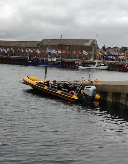 Oban: Historical and Wildlife Boat Cruise - Exploring Obans Waterways