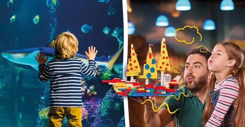 Oberhausen: LEGOLAND Discovery Centre and SEA LIFE Ticket - SEA LIFE Oberhausen Highlights
