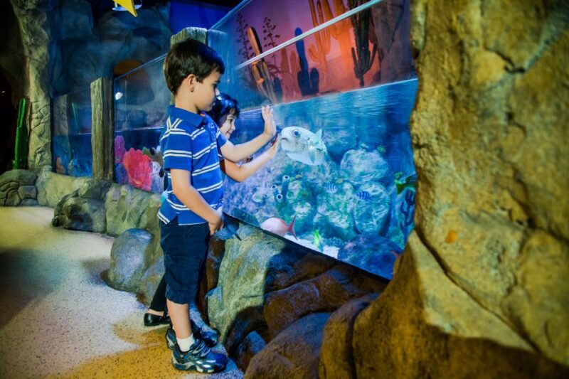 Oberhausen: LEGOLAND Discovery Centre and SEA LIFE Ticket - Bundled Ticket Advantages