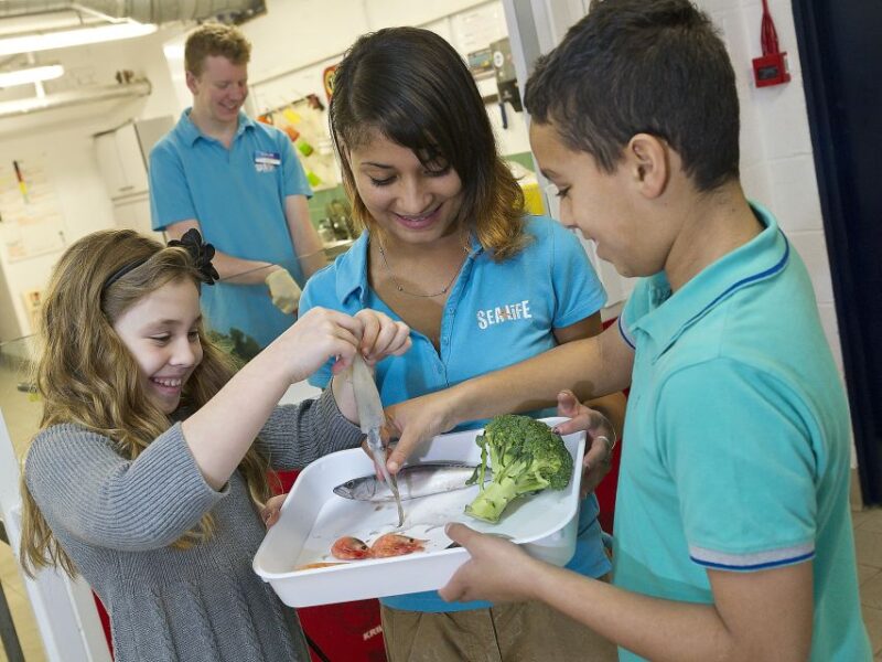 Oberhausen: SEA LIFE Ticket and Behind the Scenes Tour - Booking Information