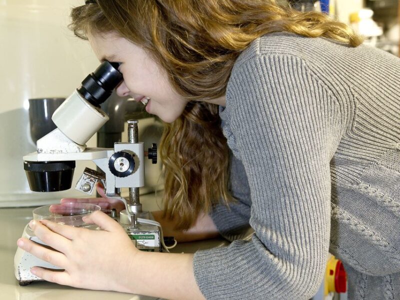 Oberhausen: SEA LIFE Ticket and Behind the Scenes Tour - Behind the Scenes