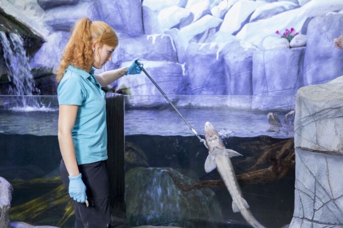 Oberhausen: SEA LIFE Ticket and Behind the Scenes Tour - Customer Reviews and Ratings