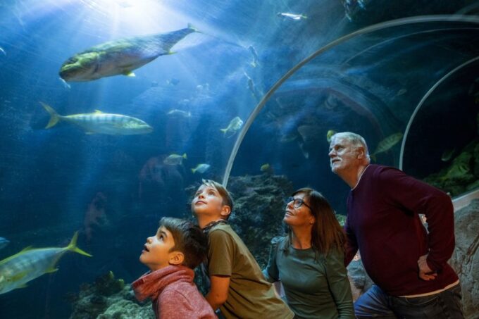Oberhausen: SEA LIFE Ticket and Behind the Scenes Tour - Frequently Asked Questions