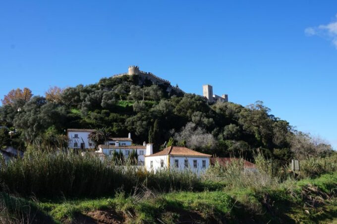 Óbidos: Lagoon Bike Tour - Customer Feedback