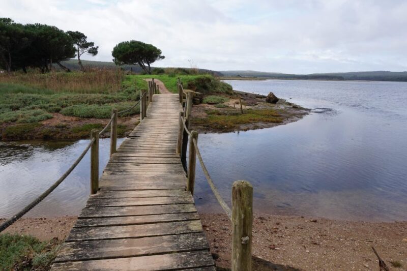 Óbidos: Lagoon Bike Tour - Pricing
