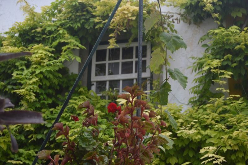 Óbidos: Medieval Tales and Secret Spots Walking Tour - Important Information