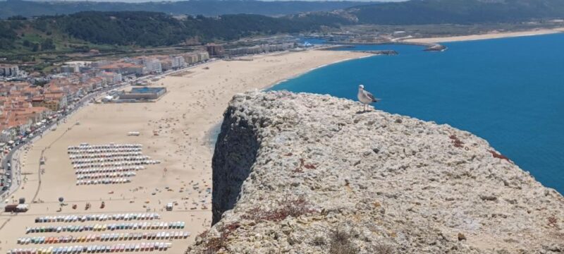 Óbidos Nazaré & Mafra National Palace Private From Lisbon - Itinerary Highlights