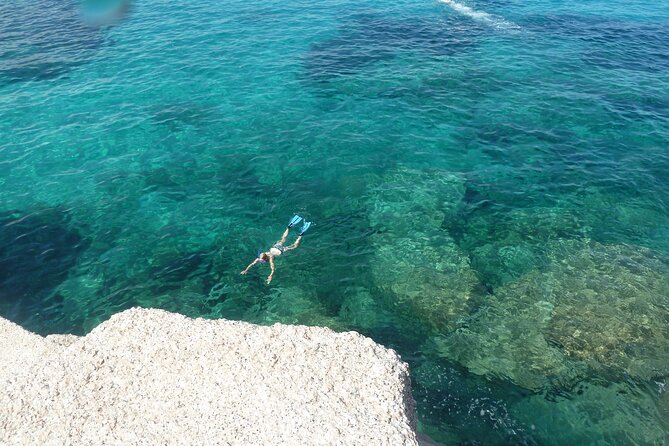 Observation of Dolphins and Snorkeling in a Rubber Boat in Olbia - Whats Included in the Experience