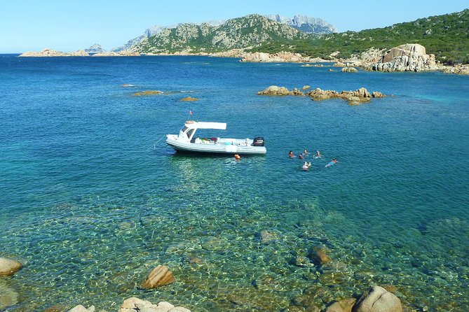 Observation of Dolphins and Snorkeling in a Rubber Boat in Olbia - Exploring Figarolo Island