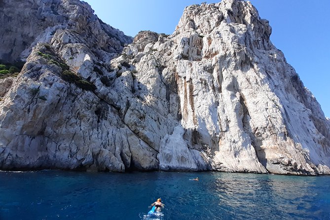 Observation of Dolphins and Snorkeling in a Rubber Boat in Olbia - Snorkeling in Moresca Cove