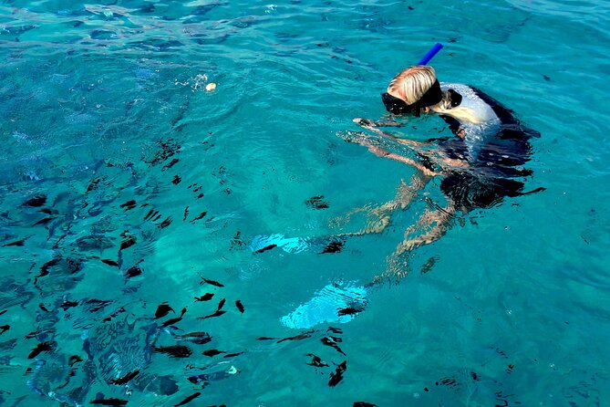 Observation of Dolphins and Snorkeling in a Rubber Boat in Olbia - Reviews and Ratings