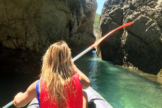 Ocean Bliss: Full Day Arrábida Private Yacht Tour From Lisbon - Spotting Marine Wildlife