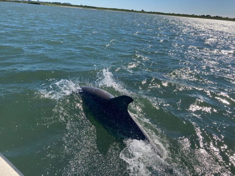 Ocean City: Atlantic Ocean Catamaran Cruise With Crew - Crew and Guidance