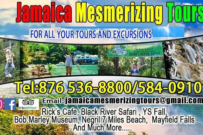 Ocean Eden Bay Private Airport Transfer - Why Choose the Ocean Eden Bay Private Airport Transfer?