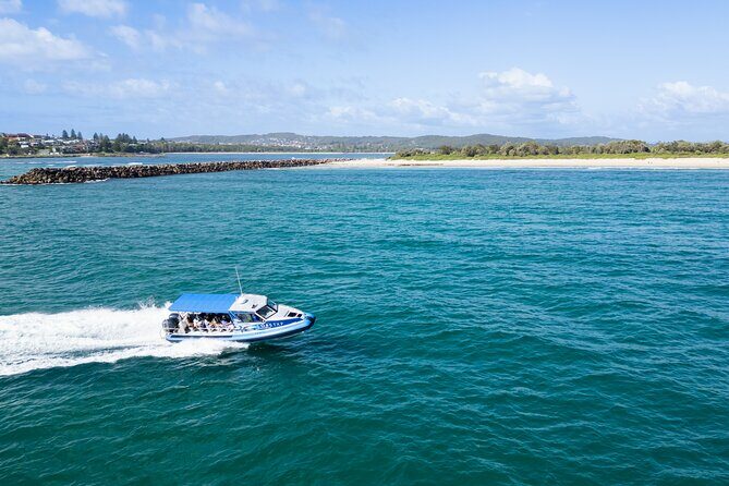Ocean Explorer Tour from Lake Macquarie - Key Points